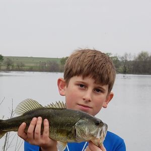 Meet your Posher, Lucas